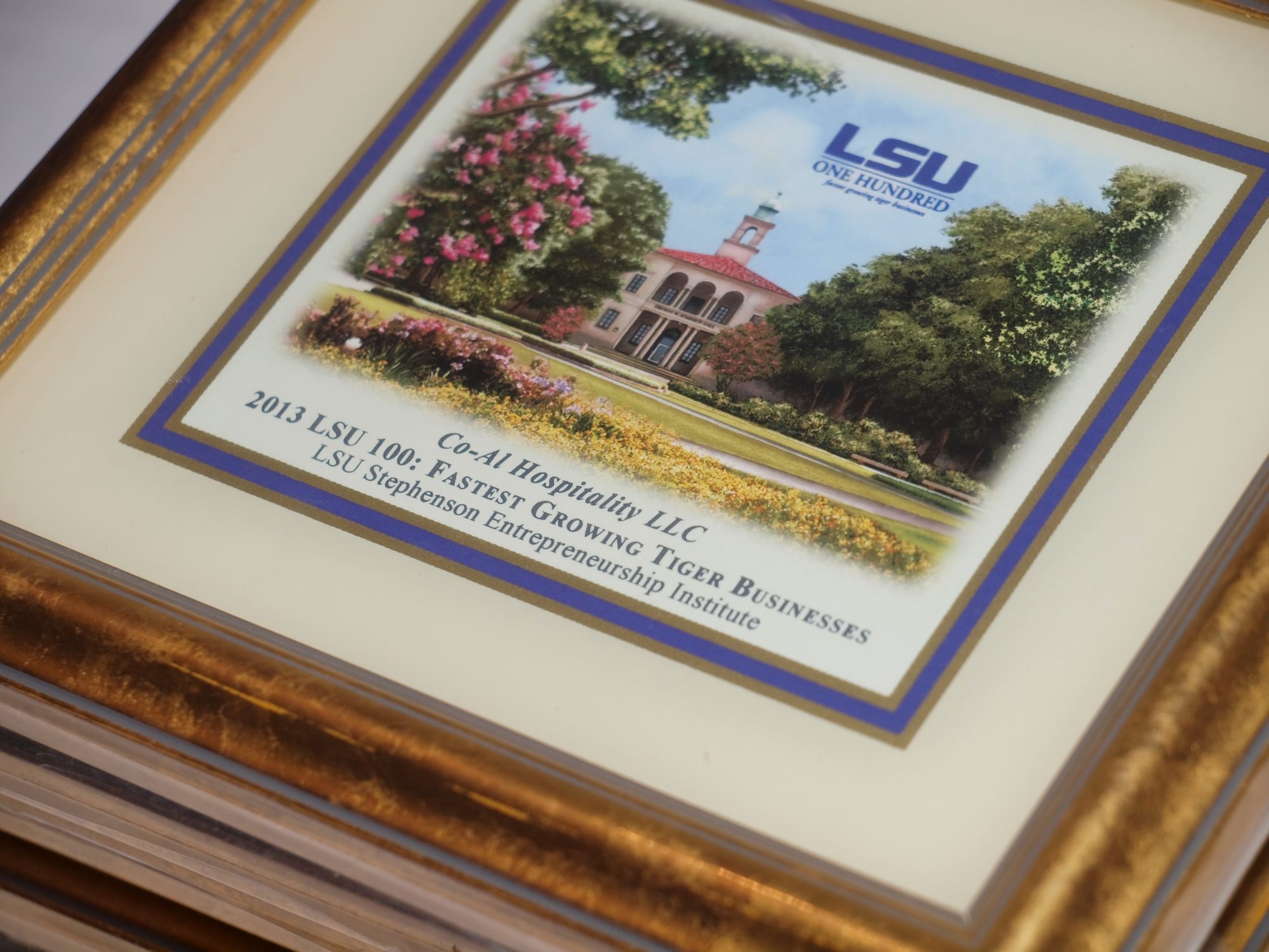 LSU100 Plaque