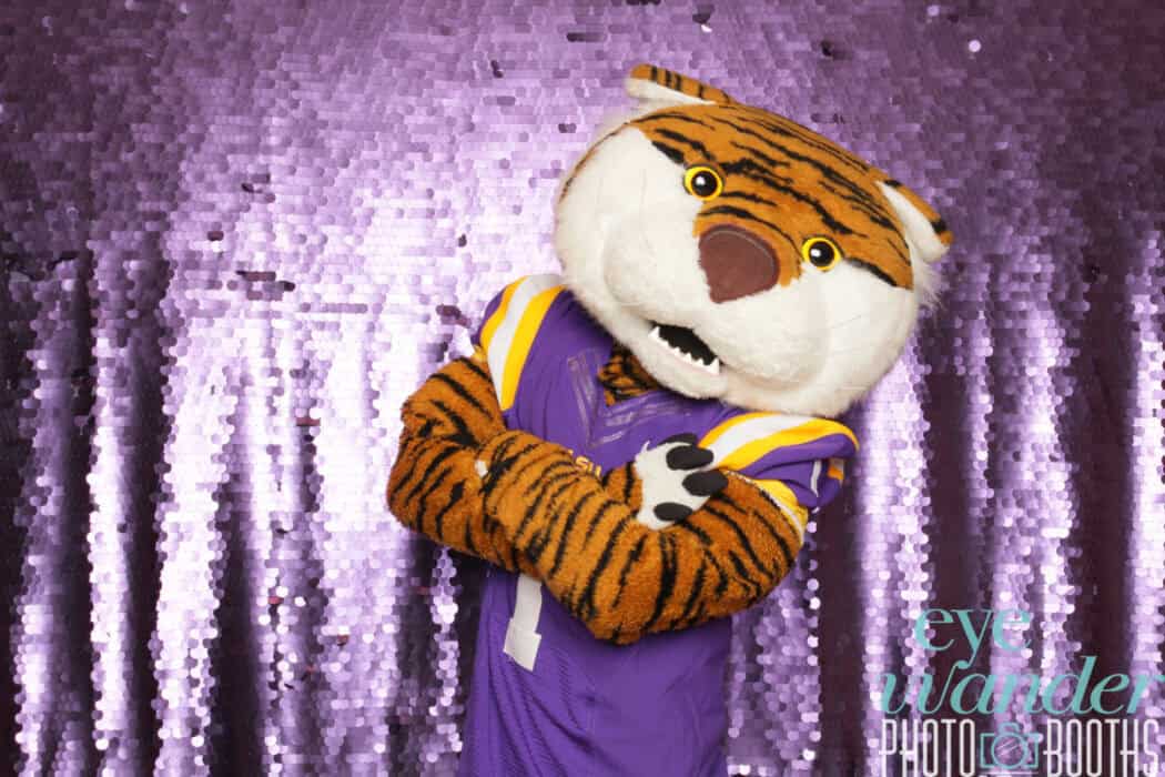 A person in a tiger mascot costume wearing a purple sports jersey stands with arms crossed in front of a shiny purple sequin backdrop.